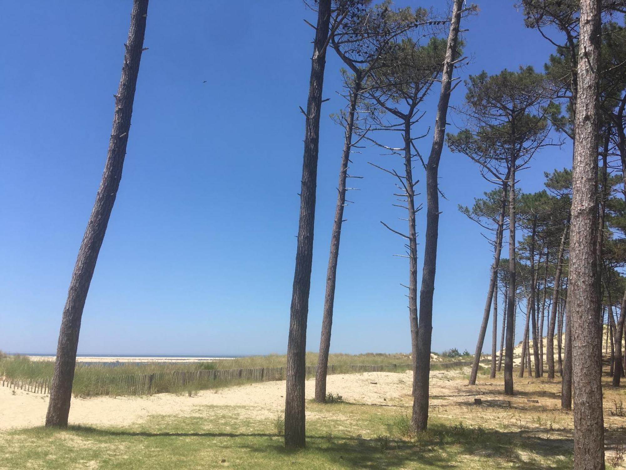 Appartement Spacieux Arcachon Exterior photo
